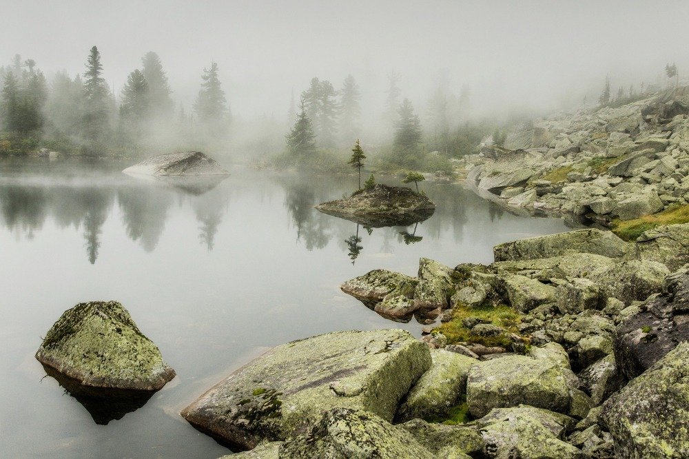 туманным утром