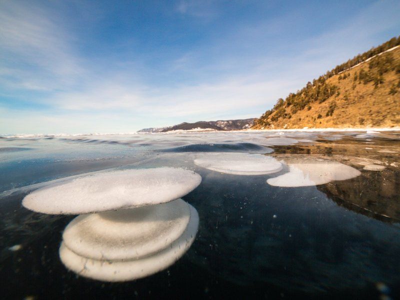 Elena Grigoreva, Russia