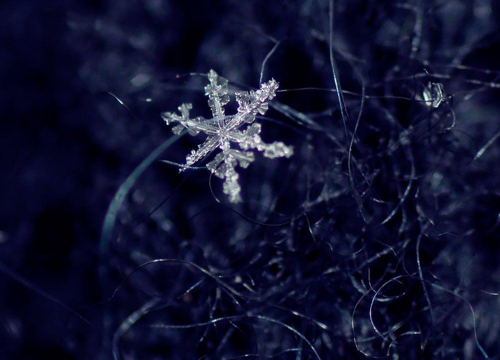 Photograph by Тараненко Анжелика