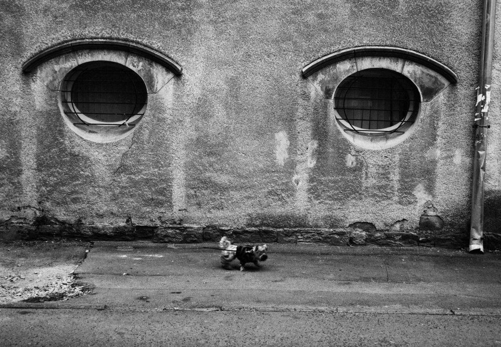 Городская физиогномика