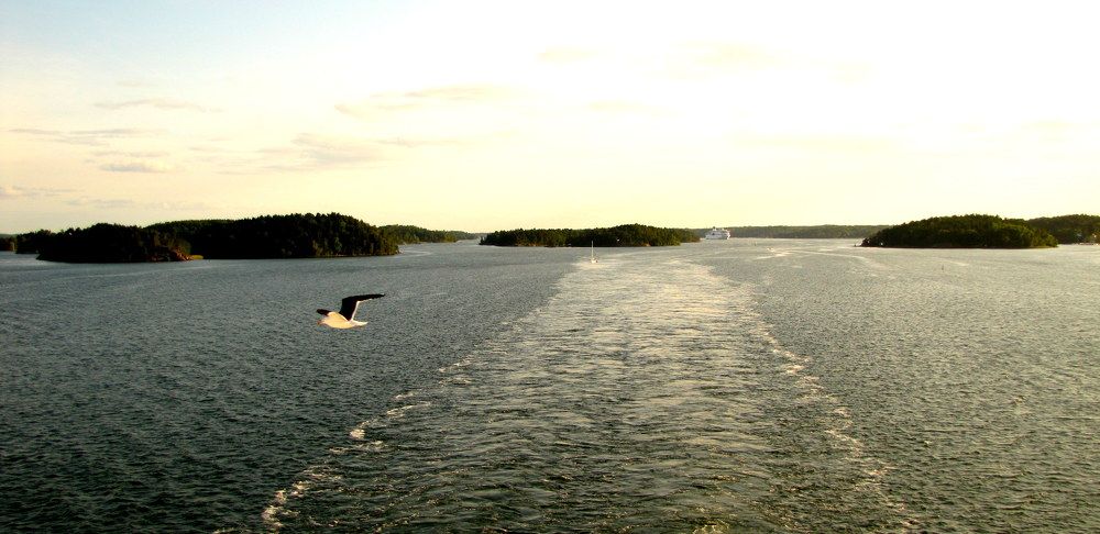 По следу парома.