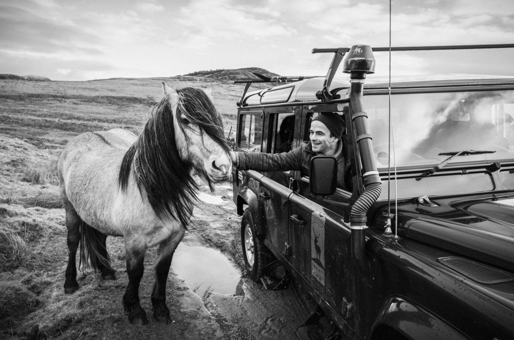 Интересная встреча