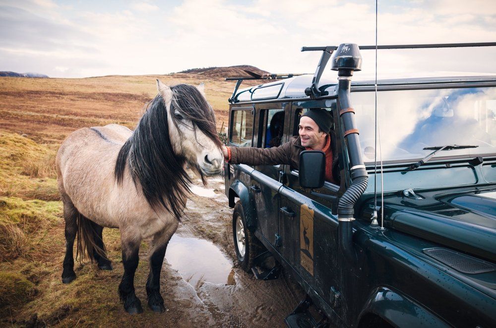 Интересная встреча