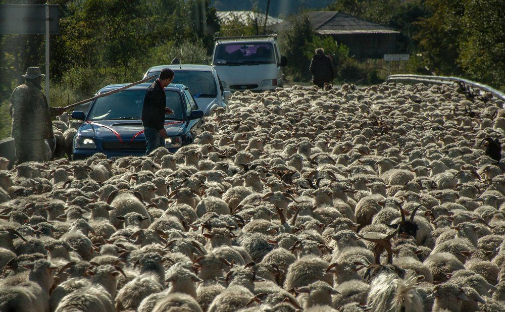 Жёсткий кавказский трафик