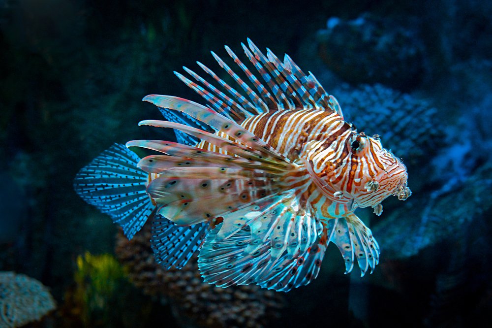 Фотография автора Сергей Логвенков