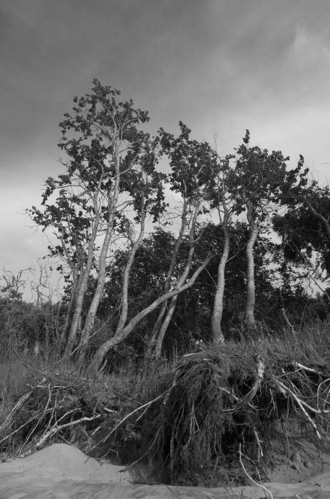 Прибрежное величие