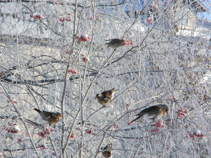 Валерий, Russia