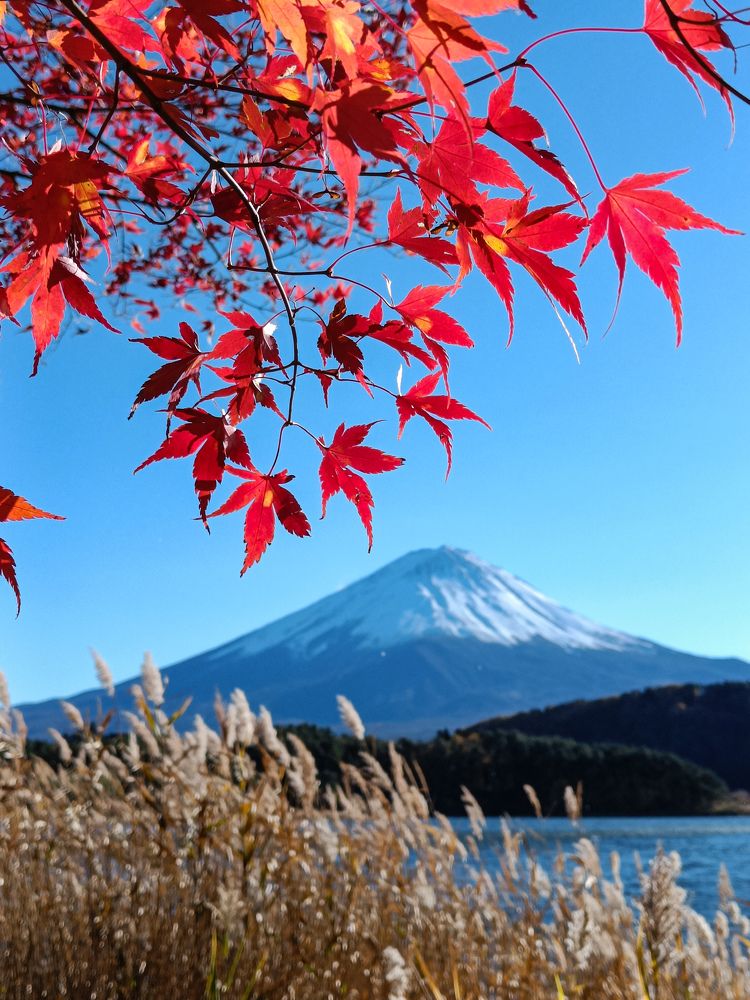 Фотография автора Анастасия Зайчуковская