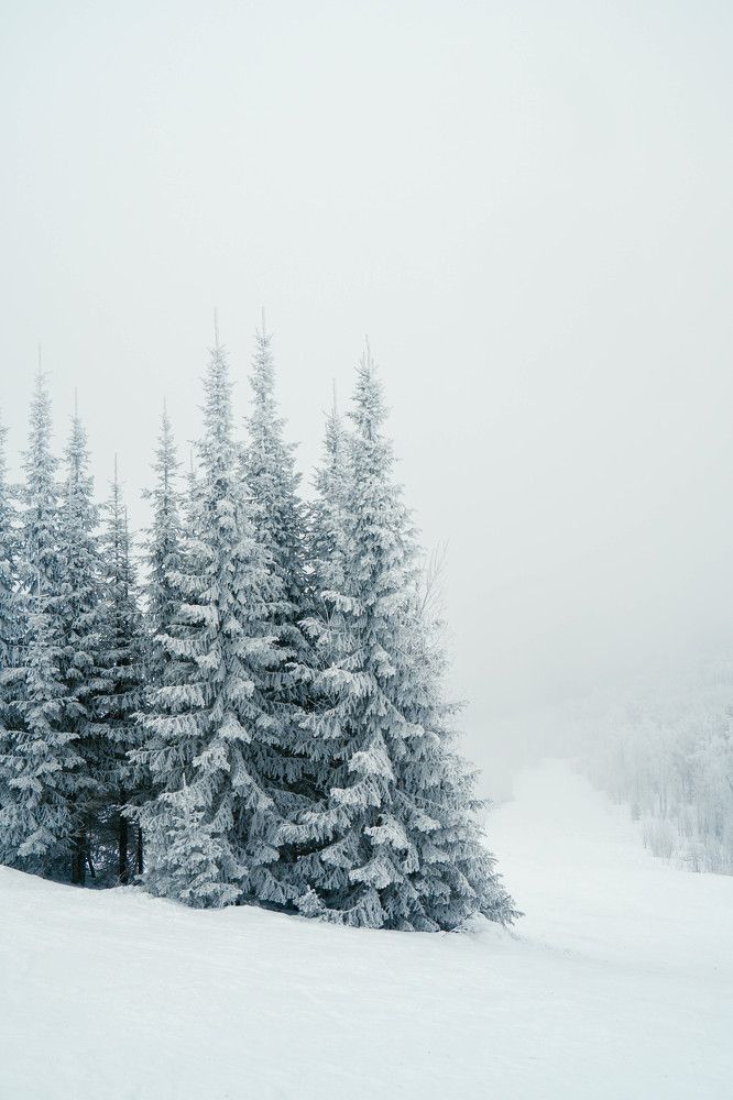 Photograph by Иван Кривоносов