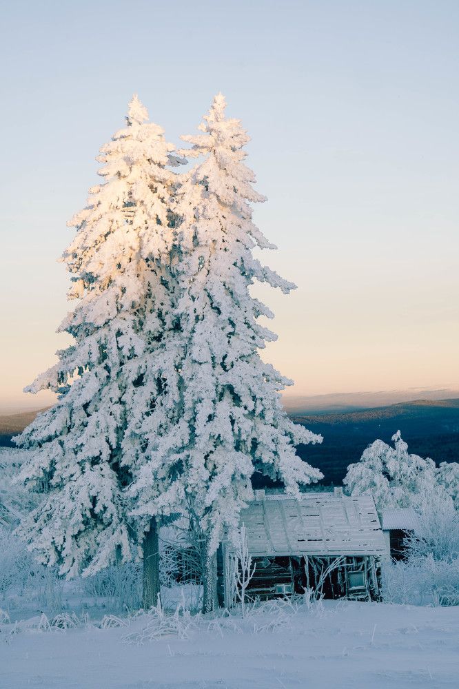 Photograph by Иван Кривоносов