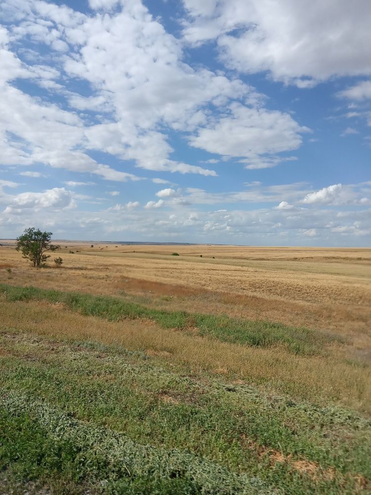Photo #11700045