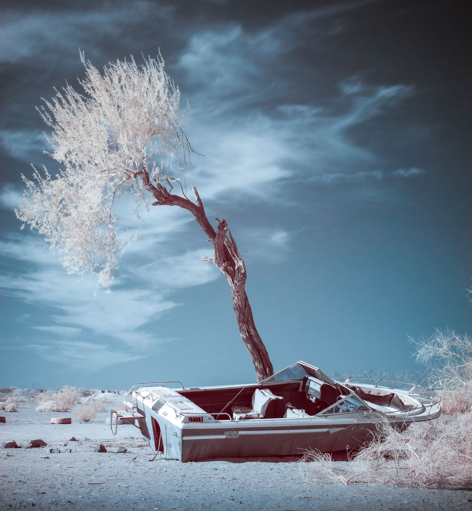 Photograph by Austin Bueno