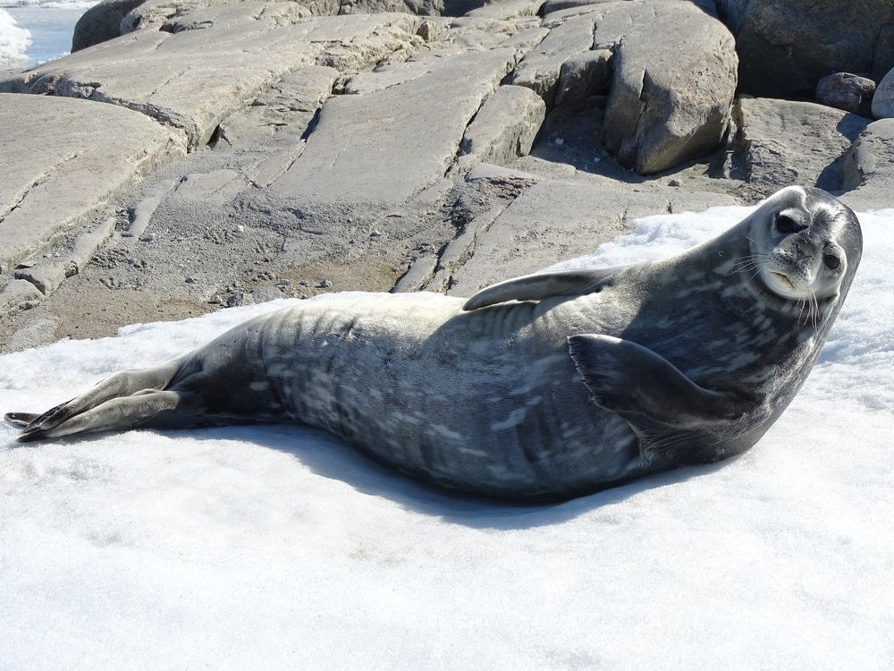 Photograph by MAKSIM MARKOV