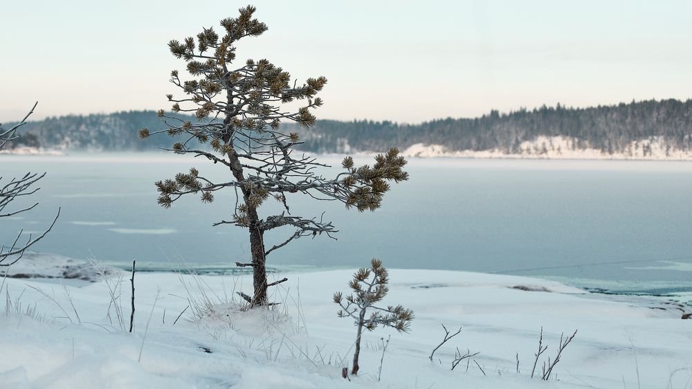 Photograph by Дмитрий Лепаков