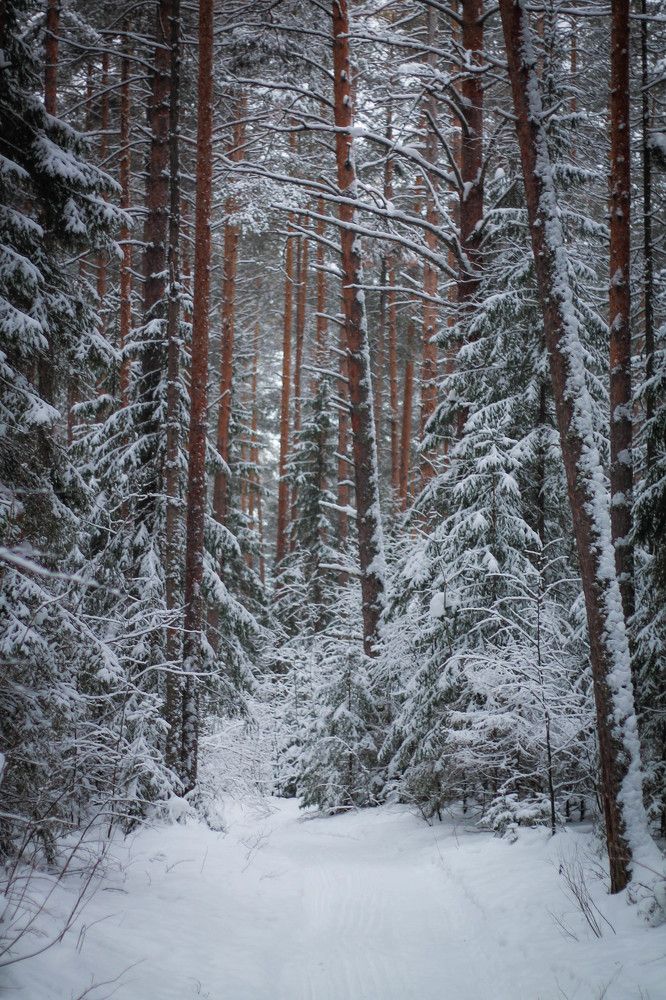 Photograph by Любовь Иванова