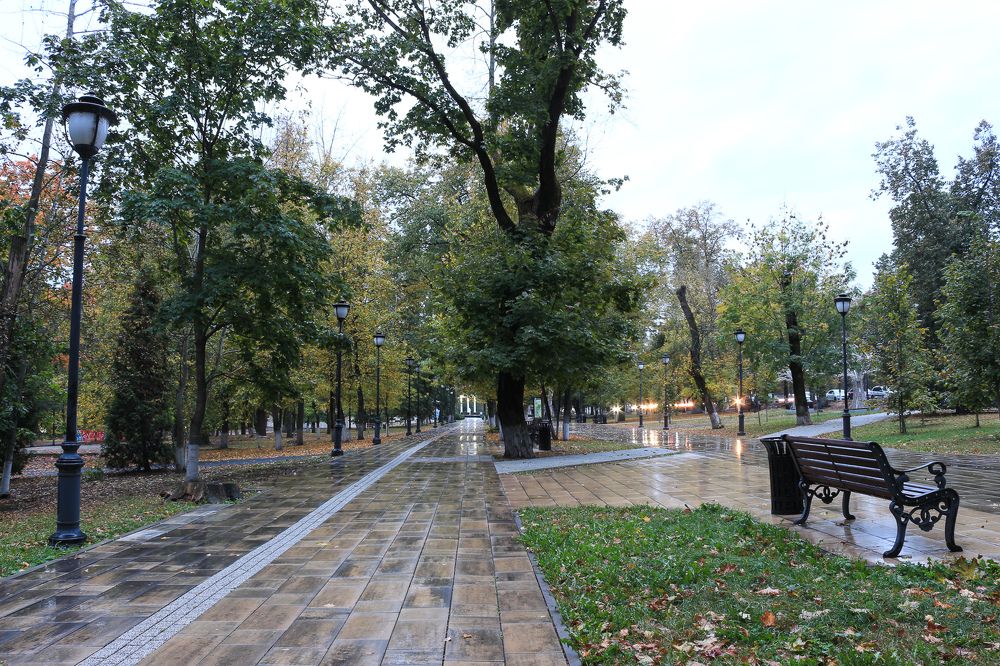 Photograph by Ирина Савостикова