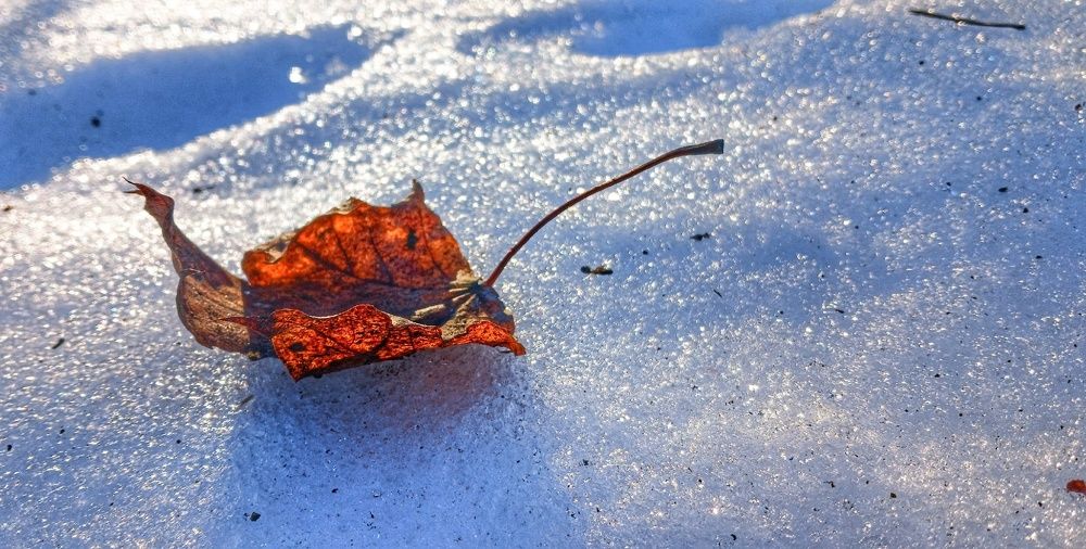 Фотография автора Valerya Vasileva