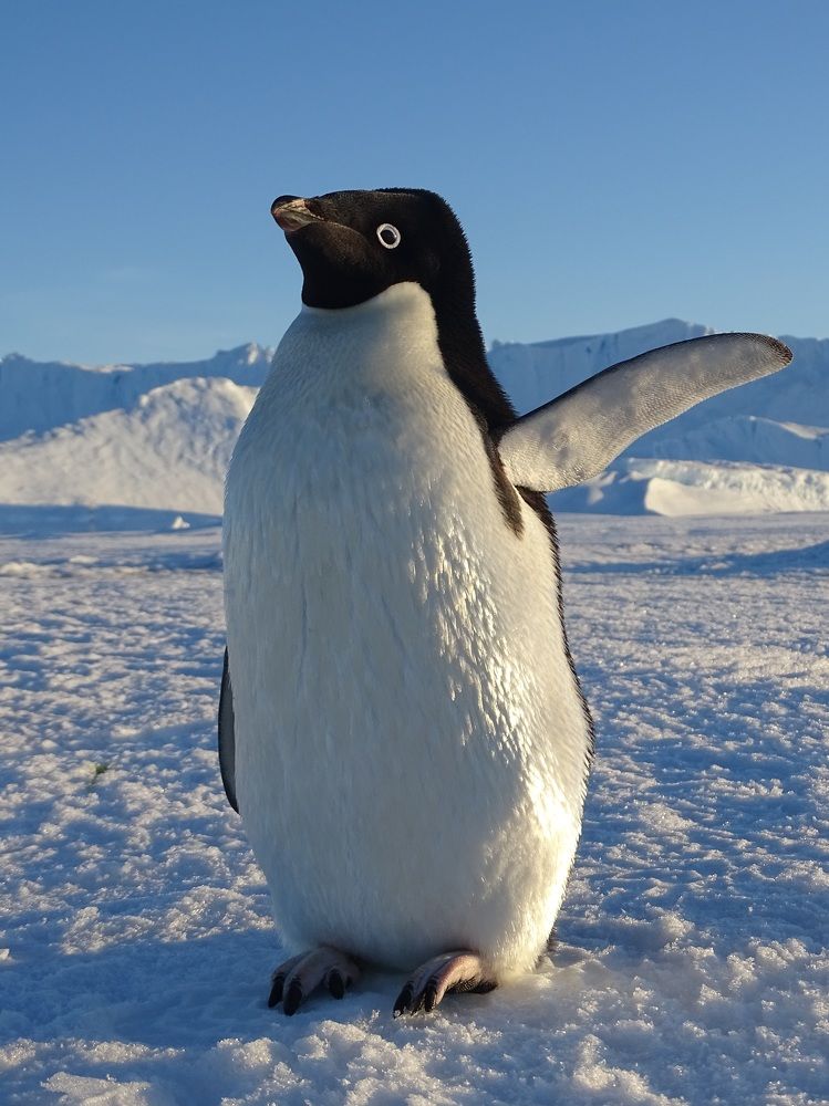 Photograph by ELVIRA LUNEVA