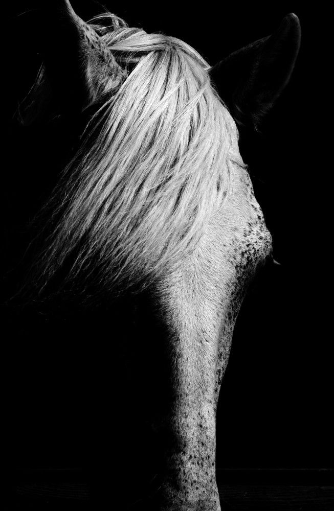 Photograph by Giuseppe Catalano