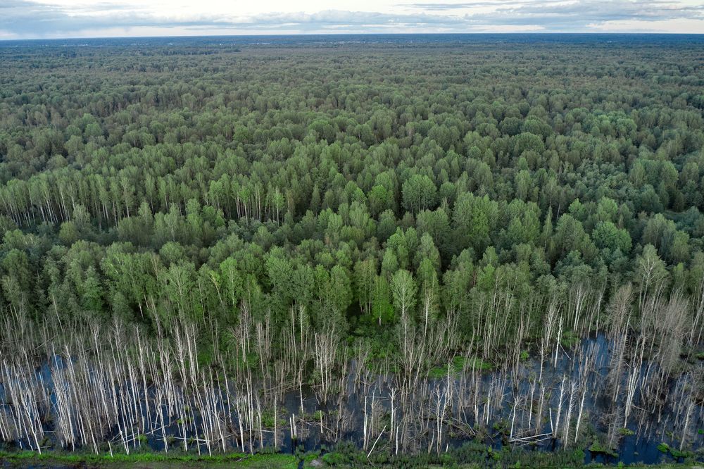 Photograph by Михаил Царук