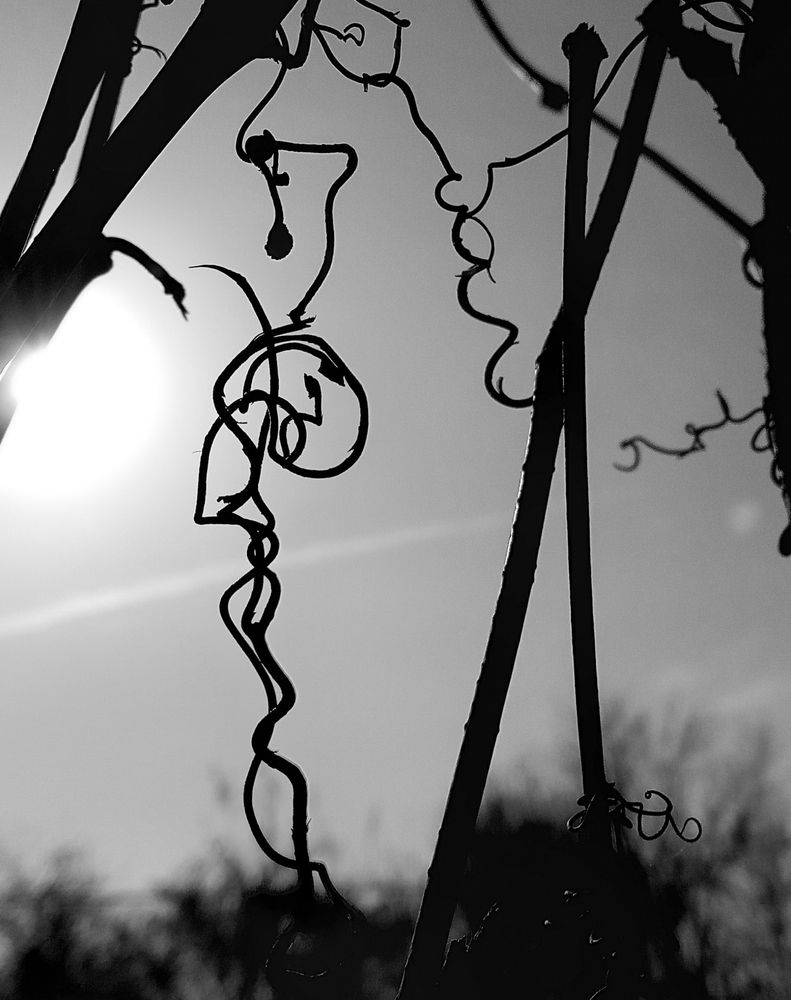 Photograph by Ольга Салтыкова