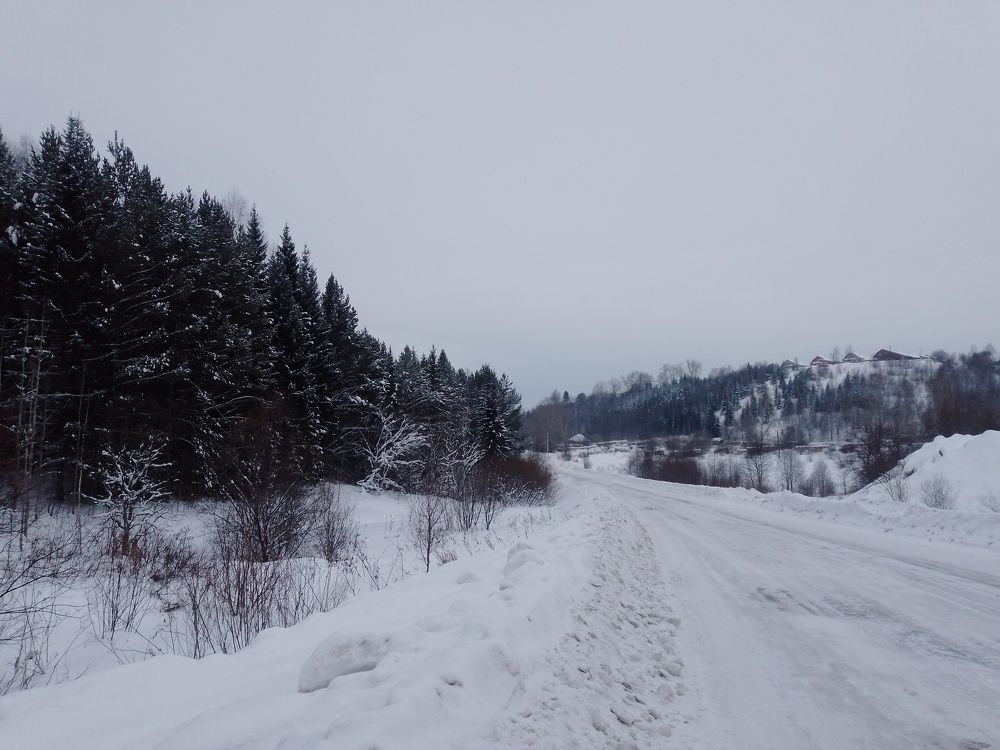 Photo #11700274