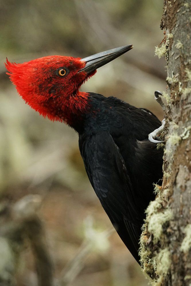 Photograph by Anna Perevozchikova