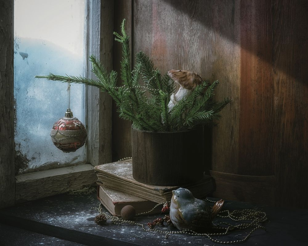 Фотография автора Viktoriya Shamanova