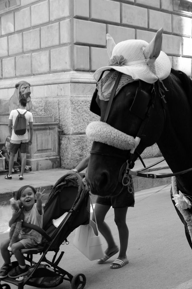 Photograph by Михаил Богачев