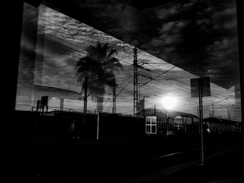 Photograph by Pieces Of moment