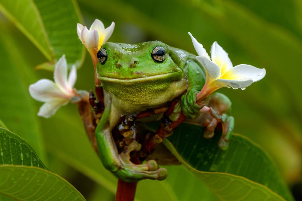 Photograph by Alexander Babych