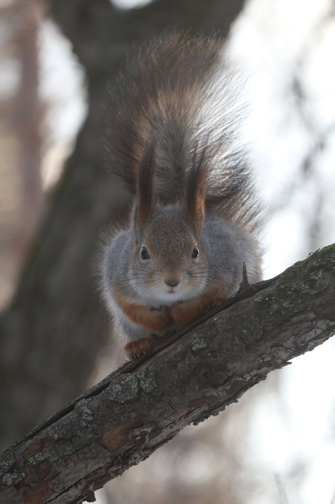 Photograph by Мария Глухова