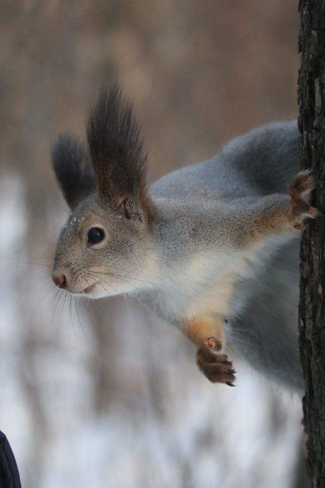 Photograph by Мария Глухова