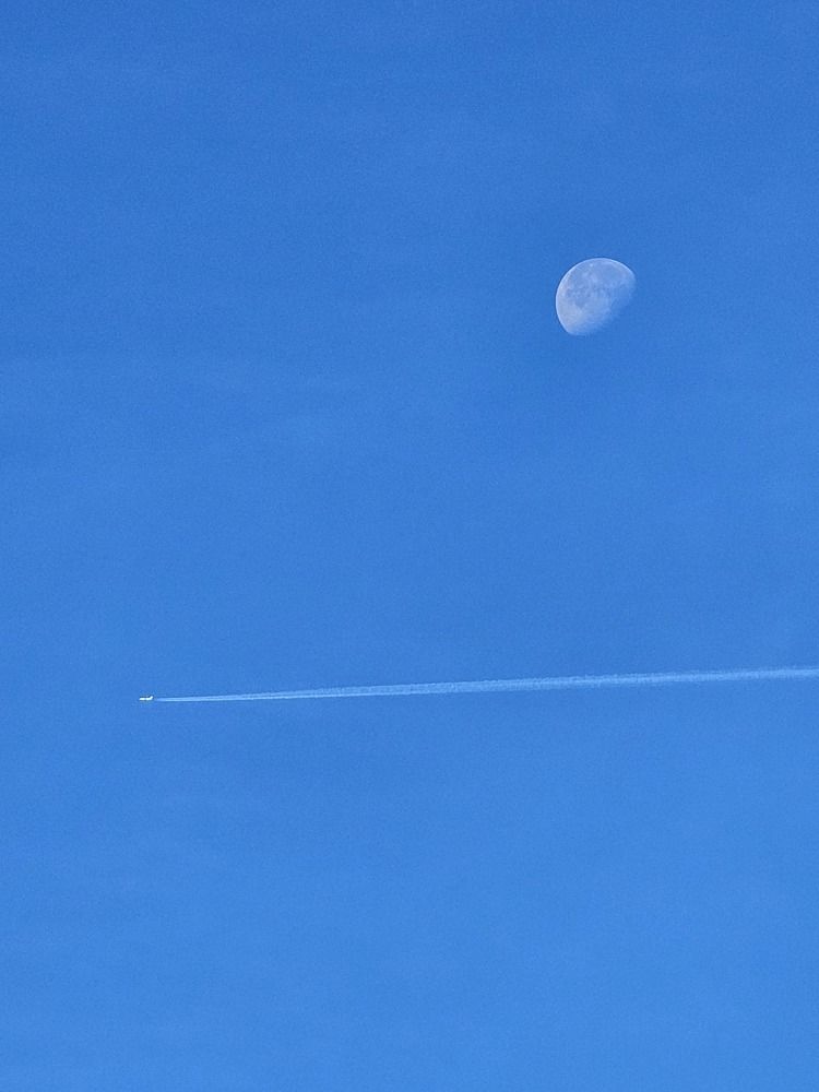 Photograph by Elena Neprosh