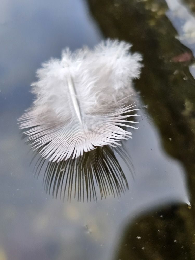 Photograph by Elena Neprosh