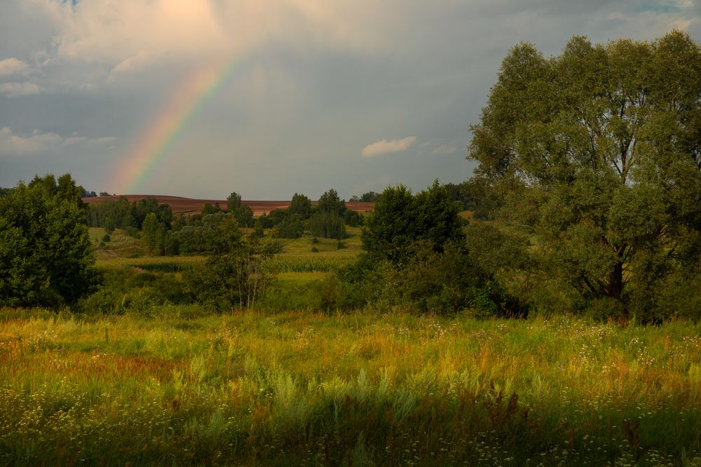 Photograph by Абашкин Сергей