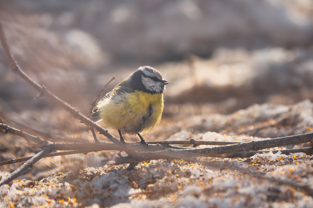 Photograph by Дудников Александр