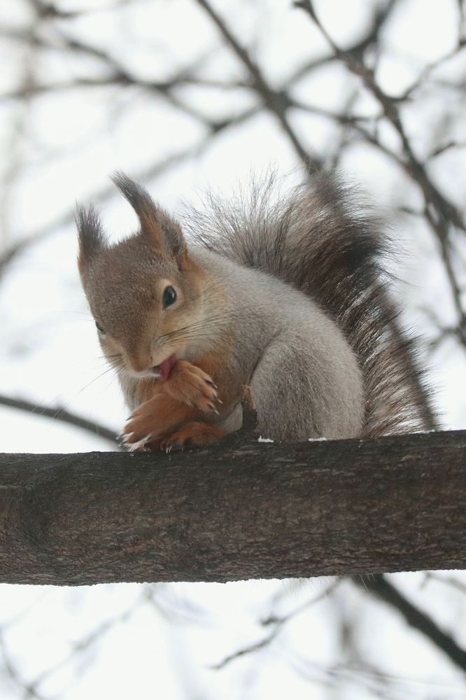 Photograph by Мария Глухова