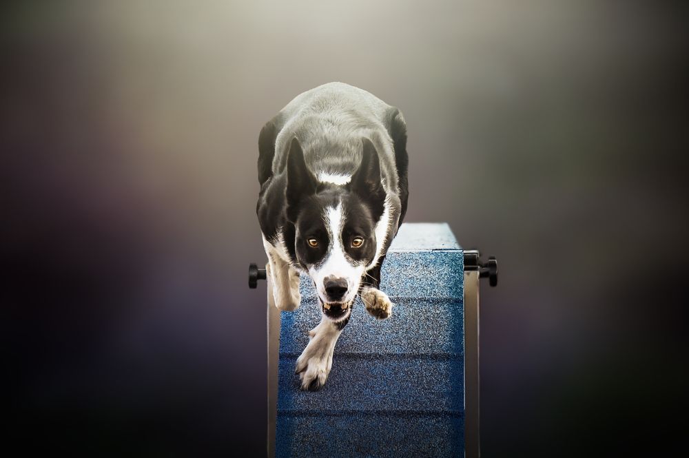 Photograph by leticia pascual garcia