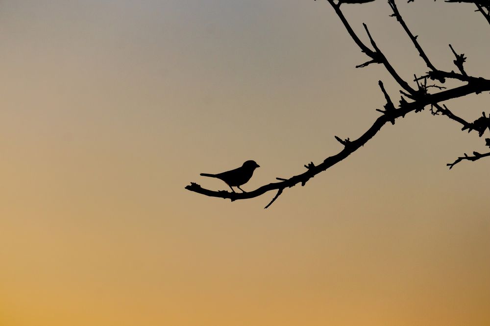 Photograph by Татьяна Новикова