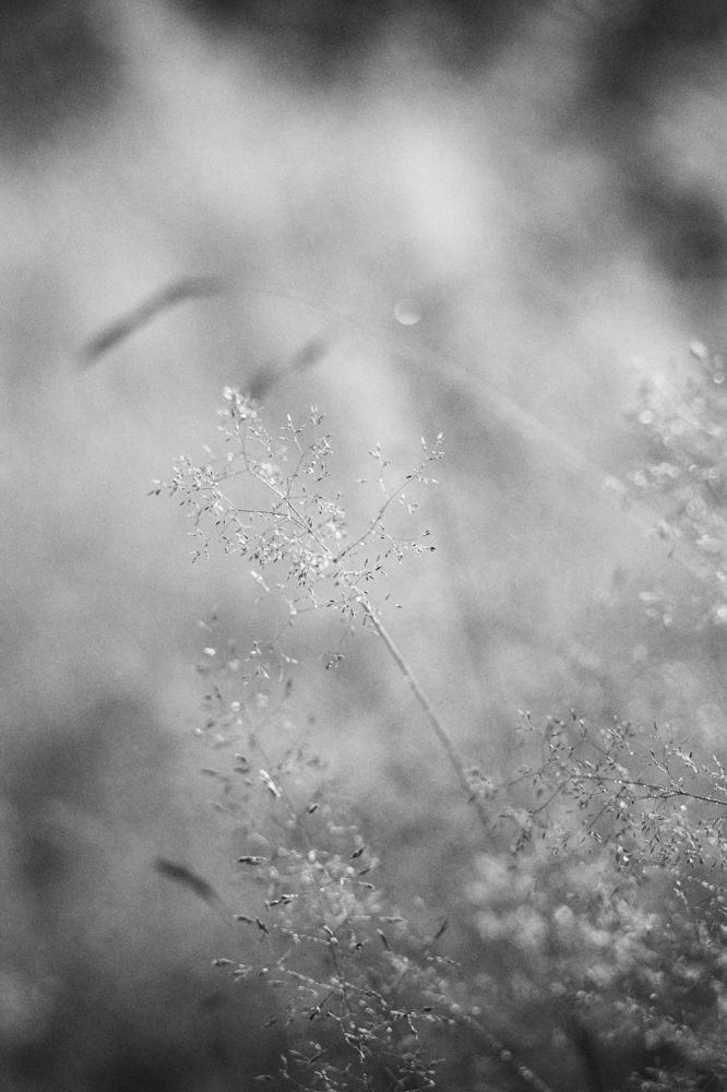 Photograph by Алексей Гунёв