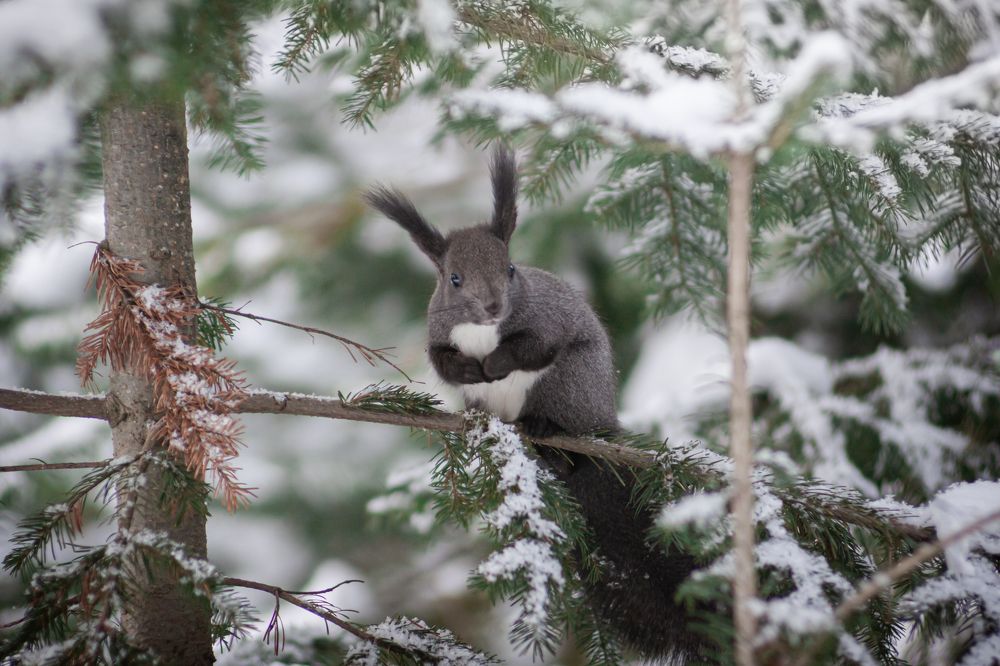 Photograph by Наталья Островцева