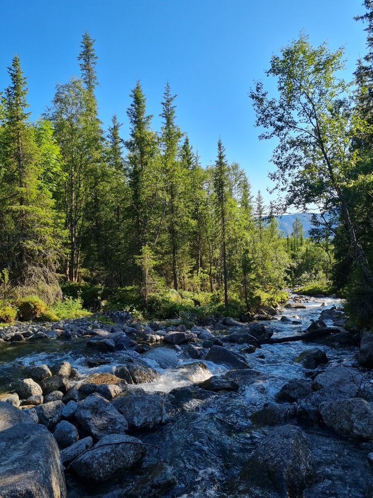 Photo #11700434