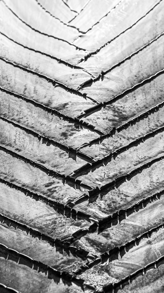 Photograph by Сергей Малеев