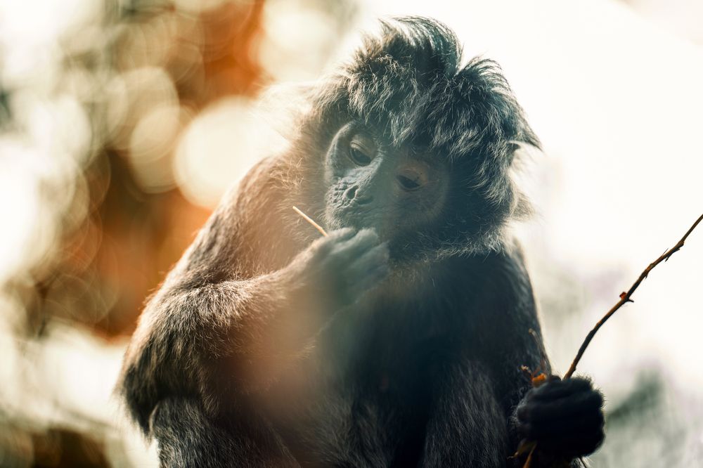 Фотография автора Dawid Grzeganek