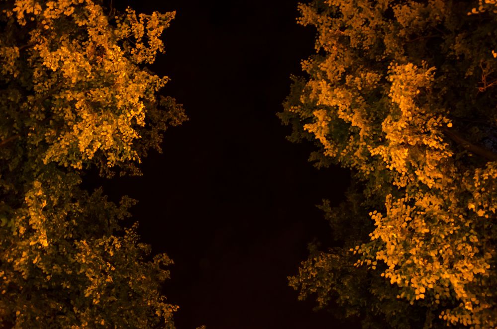 Photograph by Щеглов Дмитрий