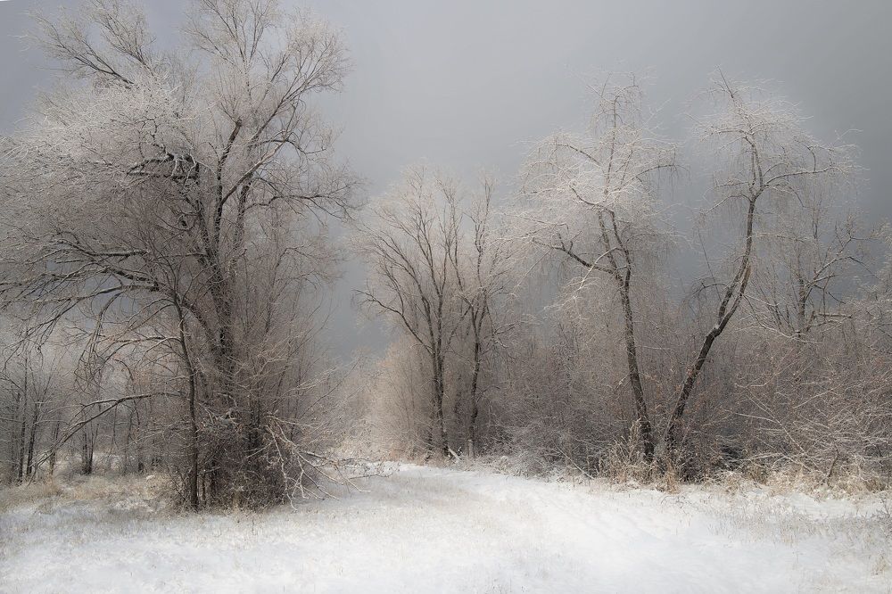 Photograph by Искандар Газизов