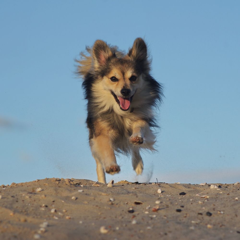 Photograph by Шляга Сергей