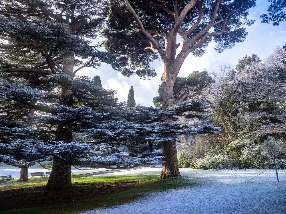 Фотография автора Alec Golibroda