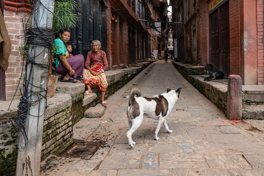 Photograph by Elena Biianu